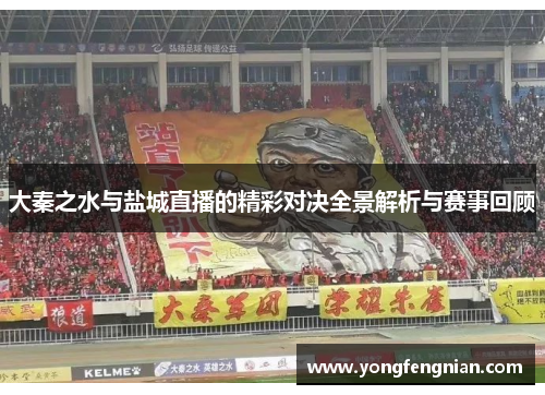大秦之水与盐城直播的精彩对决全景解析与赛事回顾